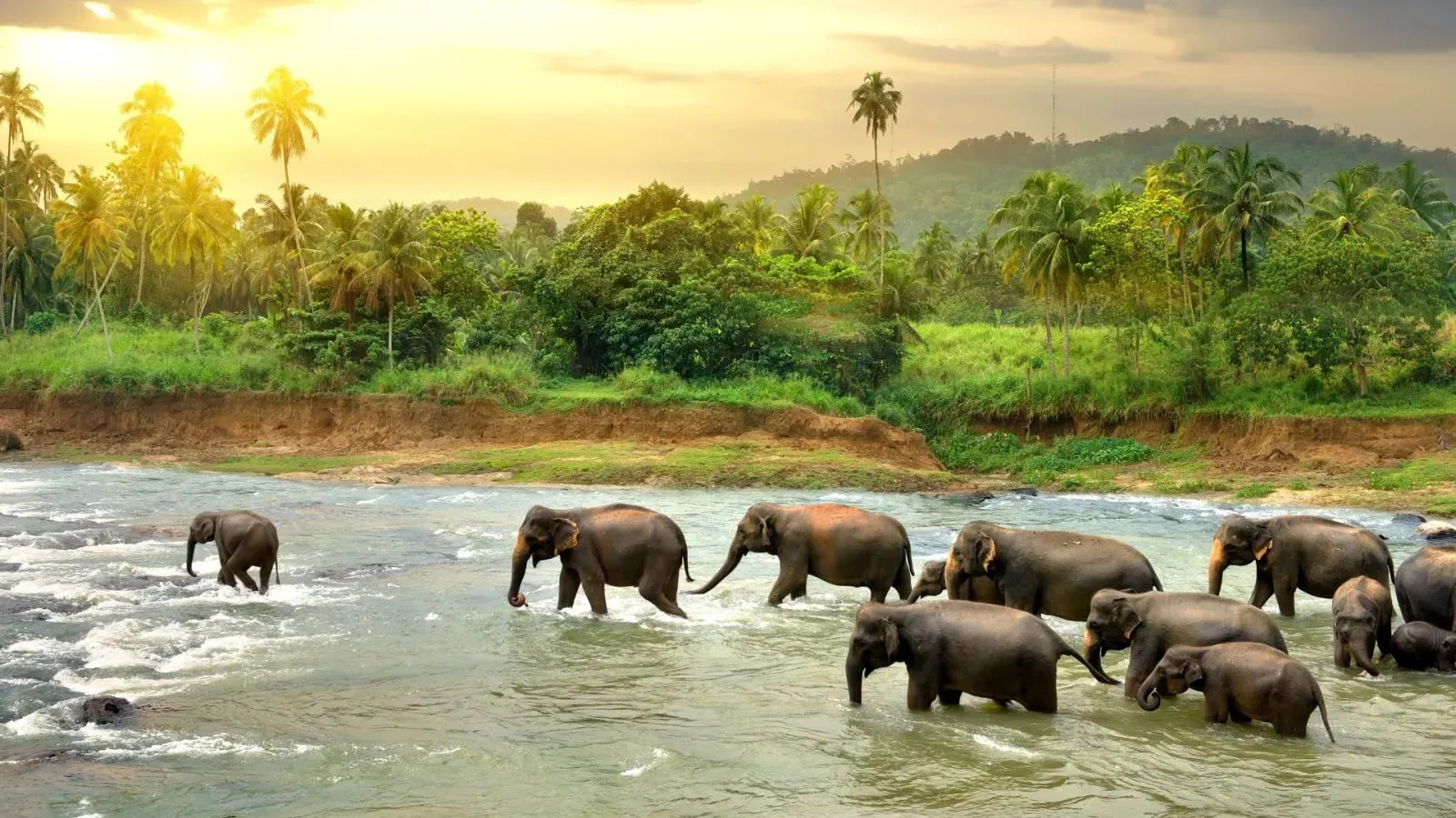 Sri Lanka: A Perfect Escape for GCC Travelers